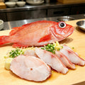 Royal Red Snapper Fresh Fillets